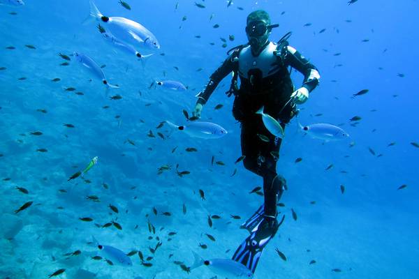 Ein Taucher in einem Schwarm von Fischen im Meer.