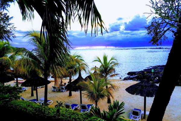 Strandansicht des Anelia Resorts mit Palmen, Sonnenliegen und Sonnenschirmen.