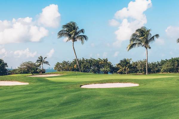 Golfplatz im Freien unter einem blauen Himmel mit weißen Wolken und Palmen.