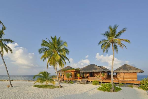 Strandhütten des Outrigger Maldives Maafushivaru Resorts umgeben von Palmen und Meer
