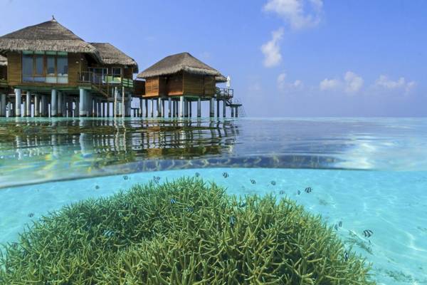 Outrigger Maldives Maafushivaru Resort Wasservillen vor kristallklarem Wasser