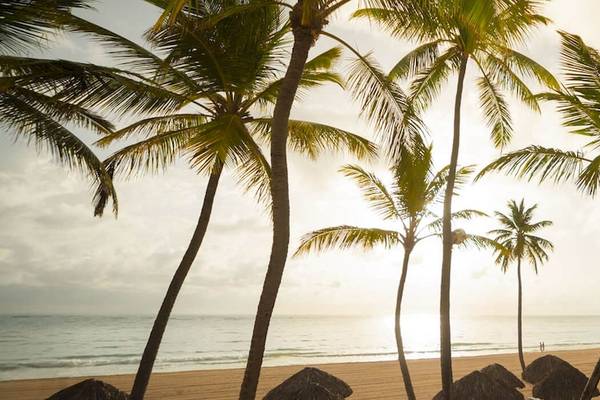 Strand mit Palmen am Caribe Deluxe Princess Hotel