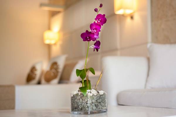 Zimmer mit Blumenarrangement auf dem Tisch im Caribe Deluxe Princess Hotel.