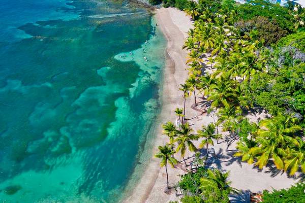 Luftaufnahme vom Playabachata Spa Resort Strand mit blauem Wasser und Palmen