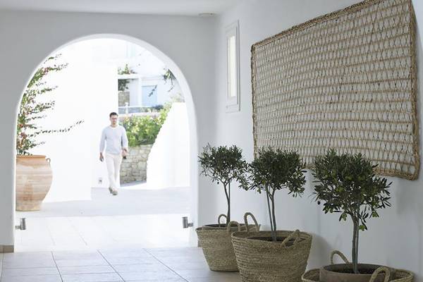Eingangsbereich des Rocabella Mykonos Art Hotel mit weißen Wänden, einem Mann im Hintergrund und drei Olivenbäumen in großen Körben.