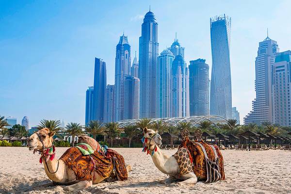 Zwei Kamele auf dem Strand des Habtoor Grand Resort & Spa in Dubai mit Hochhäusern im Hintergrund.