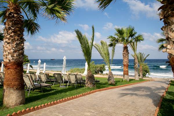 Strandbereich des Louis Paphos Breeze Hotels mit Palmen und Liegestühlen