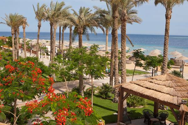 Blick auf den Strand und Palmen im Grand Waterworld Makadi