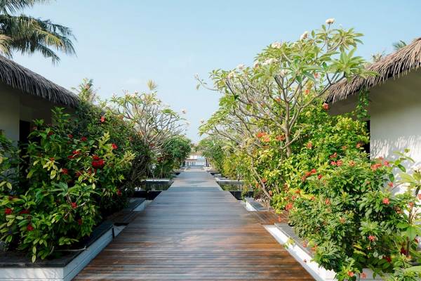 Gartenweg im Noku Maldives Hotel mit bepflanzten Bereichen und hölzernem Gehweg.