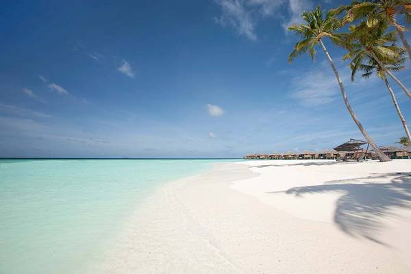 Strand des Constance Halaveli Maldives Hotels mit weißen Palmen und blauem Himmel