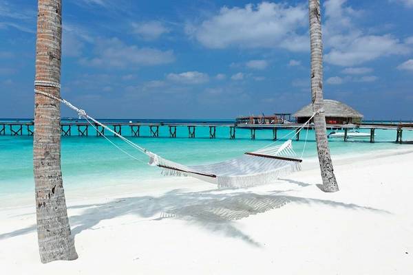 Ein weißes Hängemattenbett zwischen zwei Kokosnusspalmen am Strand des Constance Halaveli Maldives mit einer Pier im Hintergrund.