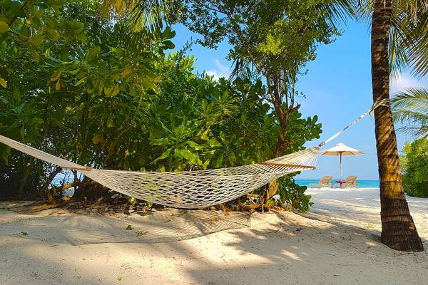 Eine Sonnenliege am Strand unter einer Palme im Barefoot Eco Hotel.