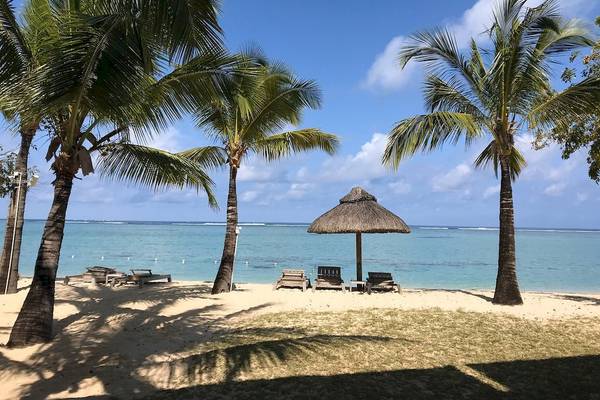 JW Marriott Strand mit Palmen, Sonnenliegen und einem Strohdach-Sonnenschirm.