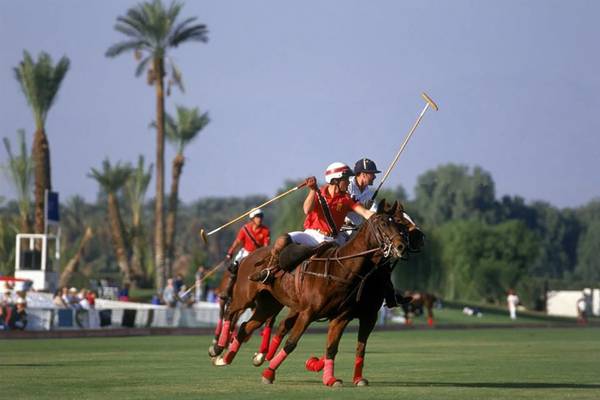 Polospieler auf Pferden im Golffeld mit Palmen im Hintergrund
