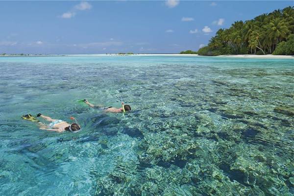 Zwei Taucher erkunden das kristallklare Wasser vor einer Insel.