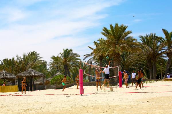 Volleyballspiel am Strand mit Palmen im Hintergrund.
