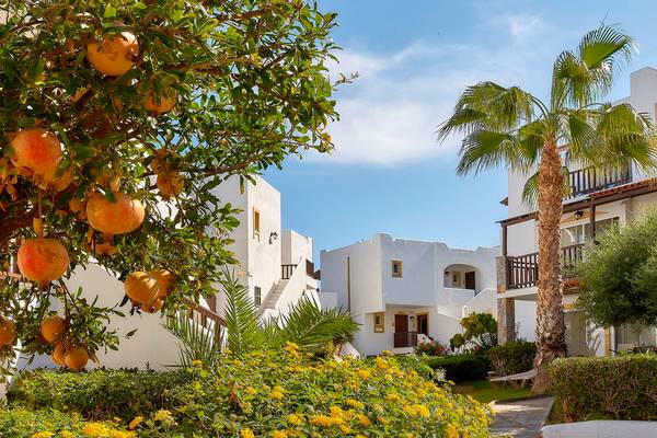 Außenbereich des Alexander Beach Hotel & Village Resort mit Gebäuden, Palmen und Früchten.