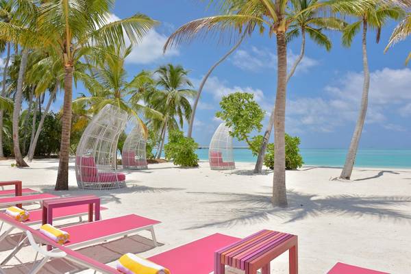 Strand mit Lounge-Stuhlen und Palmen im Kandima Maldives Hotel.