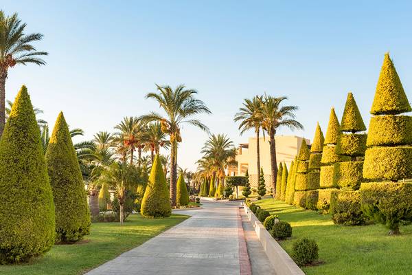 Gepflegte Gartenanlage des Horizon Beach Resorts mit geformten Büschen und einem breiten Weg.