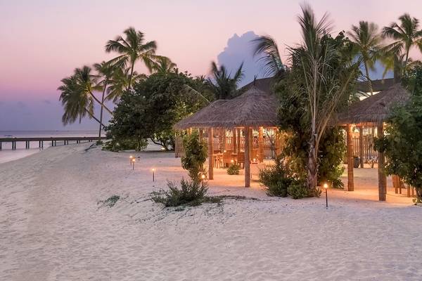 Strand des Reethi Faru Resorts mit Hütten, Palmen und einem abendlichen Blick auf das Meer.