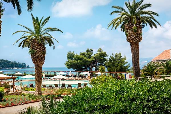 Außenbereich des Remisens Hotel Albatros mit Swimmingpool und Palmen.
