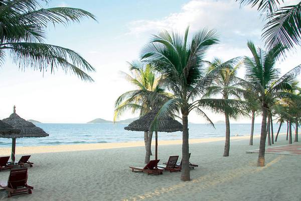 Strand des Palm Garden Beach Resorts mit Sonnenliegen und Palmen
