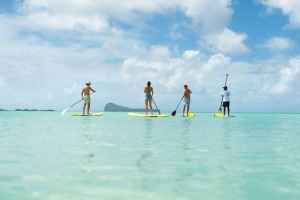 Vier Personen auf Stand-Up-Paddling-Brettern im Wasser vor einer kleinen Insel.