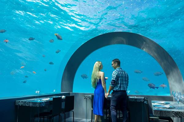Ein Paar steht in einem Unterwasserrestaurant und betrachtet Fische im Aquarium.