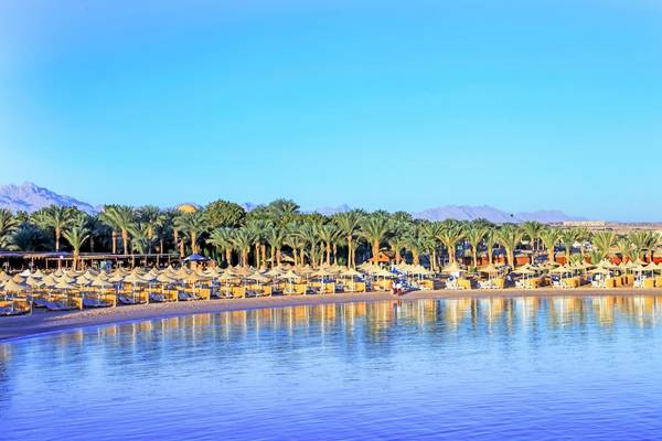 Strand mit Palmen und Sonnenliegen im LABRANDA Royal Makadi Hotel
