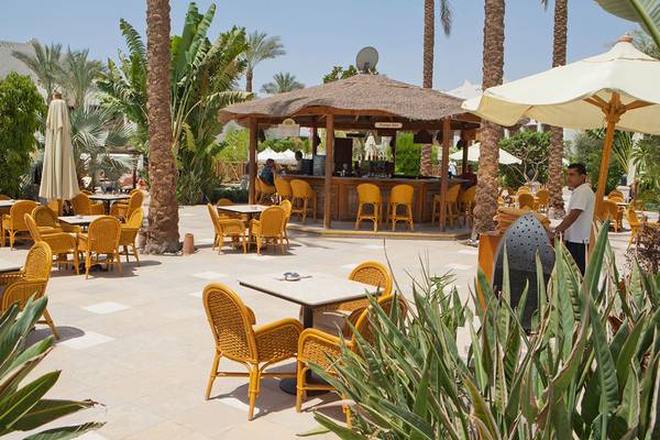Außenbereich des Ghazala Gardens Hotels mit gelben Stühlen und Tischen, Bar und Pflanzen.