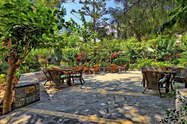 Gartenterrasse des Apollonia Beach Resort & Spa mit Tischen und Stühlen umgeben von Bäumen und Pflanzen