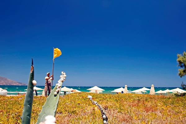 Ein Mann steht auf einem Strand neben einer gelben Flagge und vielen weißen Sonnenschirmen.
