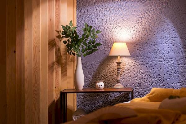 Ein Zimmer mit einem Bett, einer Lampe und Pflanzen auf einem Tisch neben der Wand.