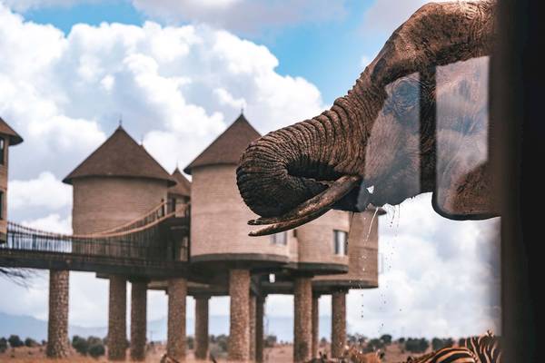 Ein Elefant, der aus einem Fenster des Baobab Beach Resort & Spa schaut.