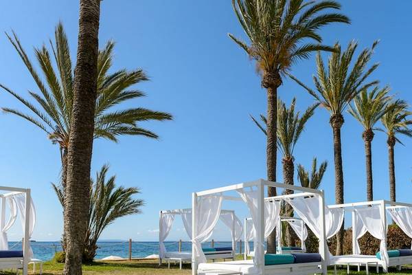 Außenbereich des Vibra Algarb Hotels mit weißen Betten und Vorhängen, umgeben von Palmen und Blick aufs Meer.