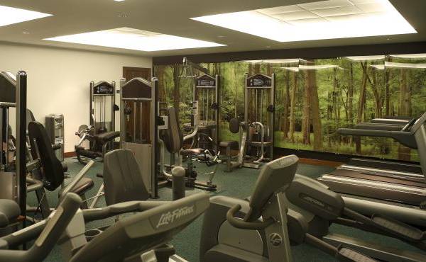 Fitnessraum im Park Plaza County Hall London mit verschiedenen Trainingsgeräten und grünem Hintergrund.
