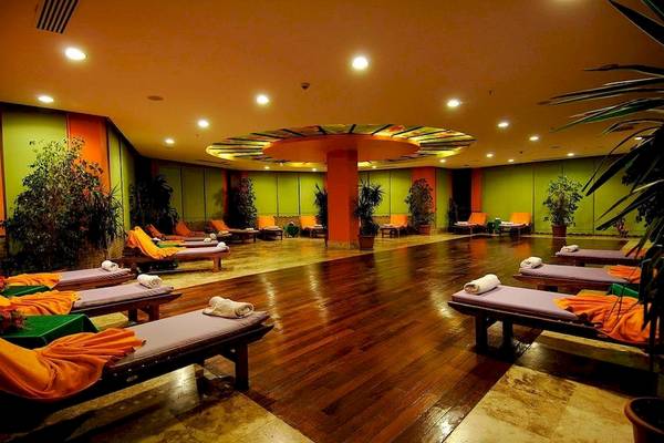 Wellnessbereich im Vita Silva Hotel mit Liegen, Pflanzen und Holzboden.