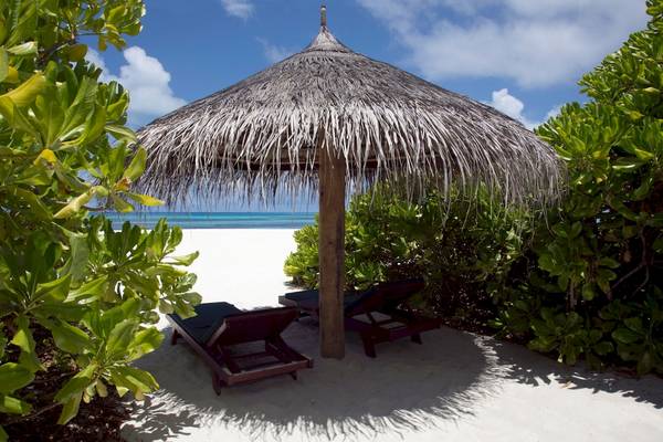 Zwei Sonnenliegen unter einem Strohhut auf dem weißen Sandstrand von Coco Palm Dhuni Kolhu.
