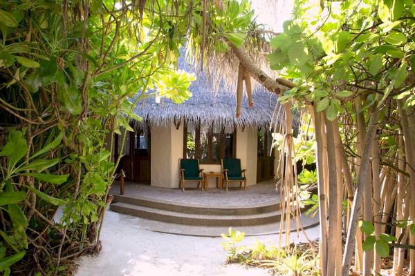 Blick auf eine kleine Hütte des Coco Palm Dhuni Kolhu Hotels, umgeben von Dschungelpflanzen.