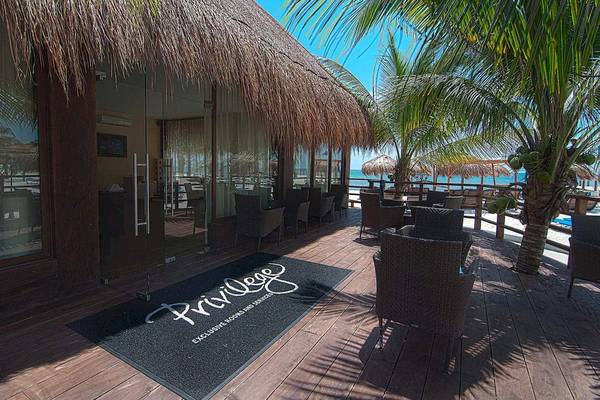 Terrasse des Ocean Maya Royale Hotels mit gepolsterten Stühlen, Palmen und Blick auf das Meer.