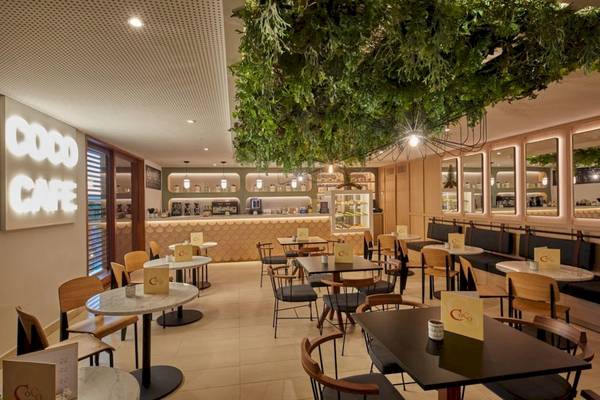 Innenansicht des Coco Cafe mit grünen Pflanzen und runden Tischen und Stühlen