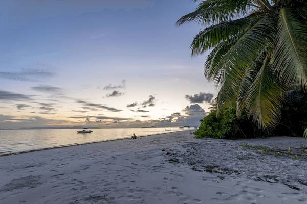 Strand bei Sonnenuntergang mit Palme und Boot auf dem Wasser