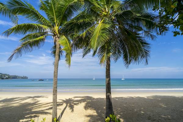 Ein sonniger Strand mit zwei großen Palmen und Booten im Wasser.