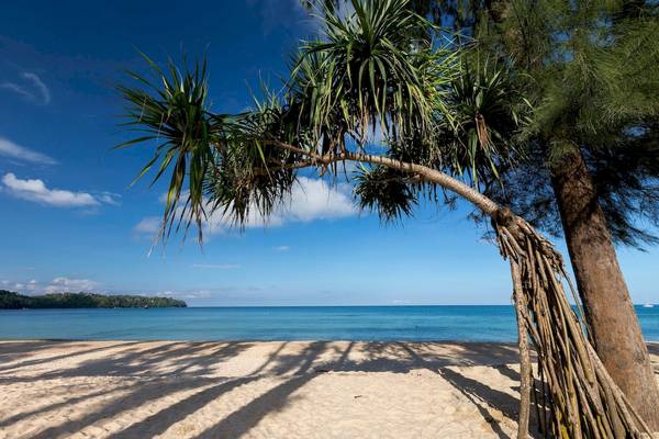 Sonnenuntergang am Strand von Sunwing Bangtao Beach mit Palmen und blauem Himmel