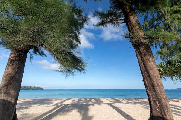 Strand mit Palmen im Hintergrund und blauem Himmel.