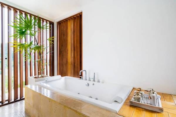 Badezimmer mit Whirlpool und Palme neben einem Holzfenster