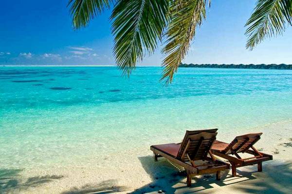 Ein Strand mit zwei Liegen und Palmen im Hintergrund.