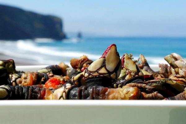 Meeresfrüchte wie Krabben und Muscheln in einer weißen Schüssel am Strand des Ancora Park Hotels