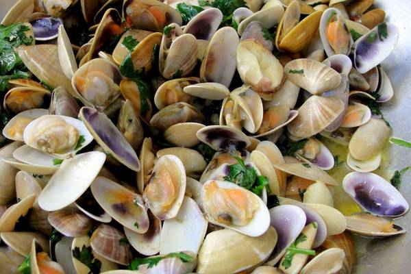 Eine Schüssel voller Muschelschalen mit grünen Kräutern obenauf.