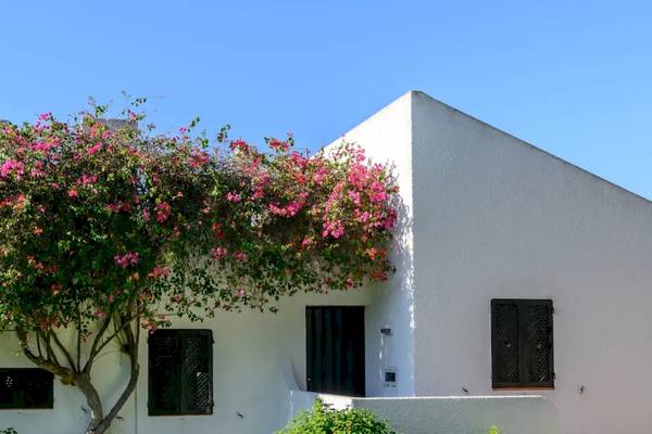 Villa des Pedras da Rainha Resorts mit blühenden Blumen und weißen Wänden